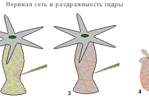 Как пополнить блэк спрут