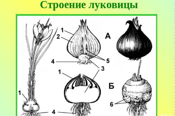 Блэк спрут рабочее зеркало blacksprut pl