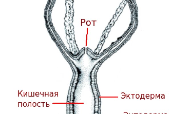 Прямая ссылка на блэкспрут