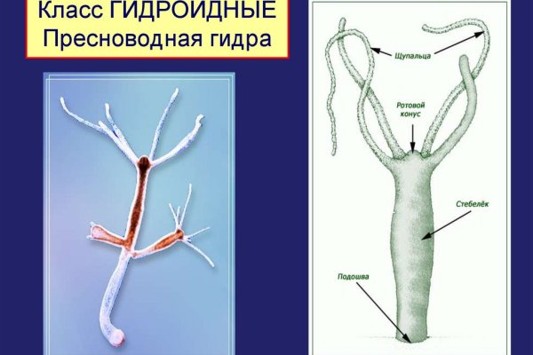 Зеркало blacksprut тор ссылка